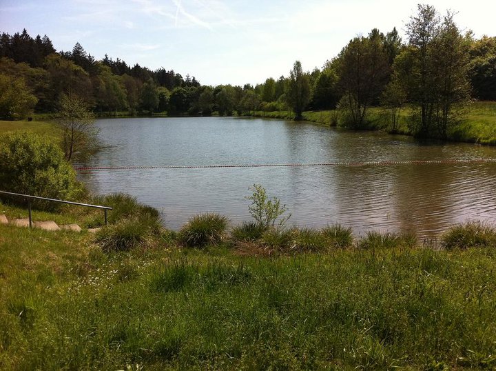   
Unser Erlensee - eine Perle der Erholung